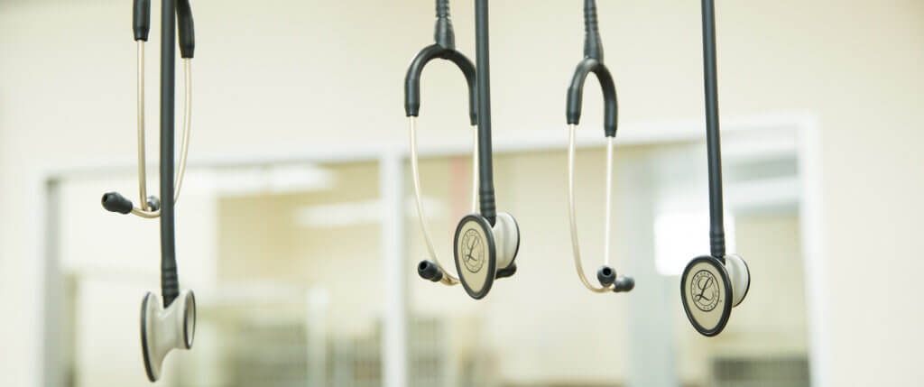 Pet Stethoscope - Rita Ranch Pet Hospital